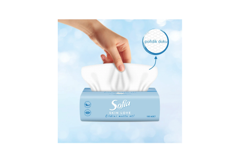 Sofia Skin Love Mendil 100'lü