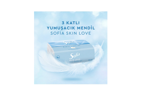 Sofia Skin Love Mendil 100'lü