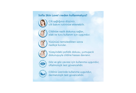 Sofia Skin Love Mendil 100'lü
