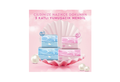 Sofia Skin Love Mendil 100'lü