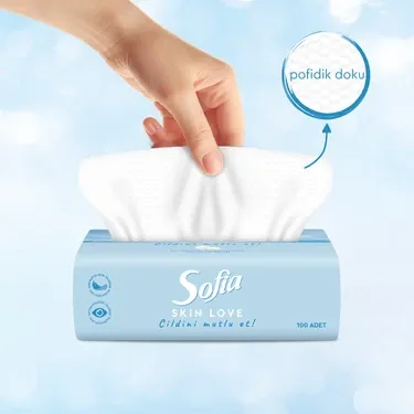 Sofia Skin Love Mendil 100'lü